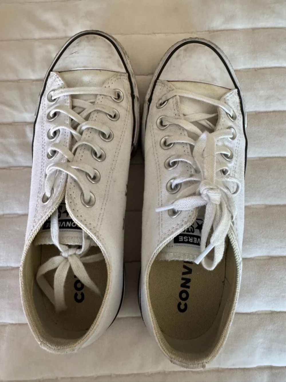 Classic White Low-Top Canvas Sneakers - Picture 2 of 5